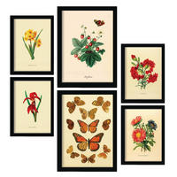 POSTER Set Mit 6 6Er Schmetterlinge A3 Rahmenlos - Klar, Papier (29.7/5/42cm) - Nacnic