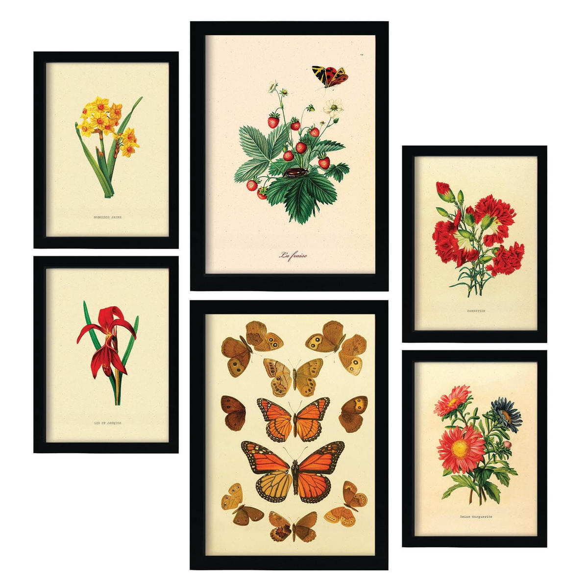 POSTER Set Mit 6 6Er Schmetterlinge A3 Rahmenlos - Klar, Papier (29.7/5/42cm) - Nacnic