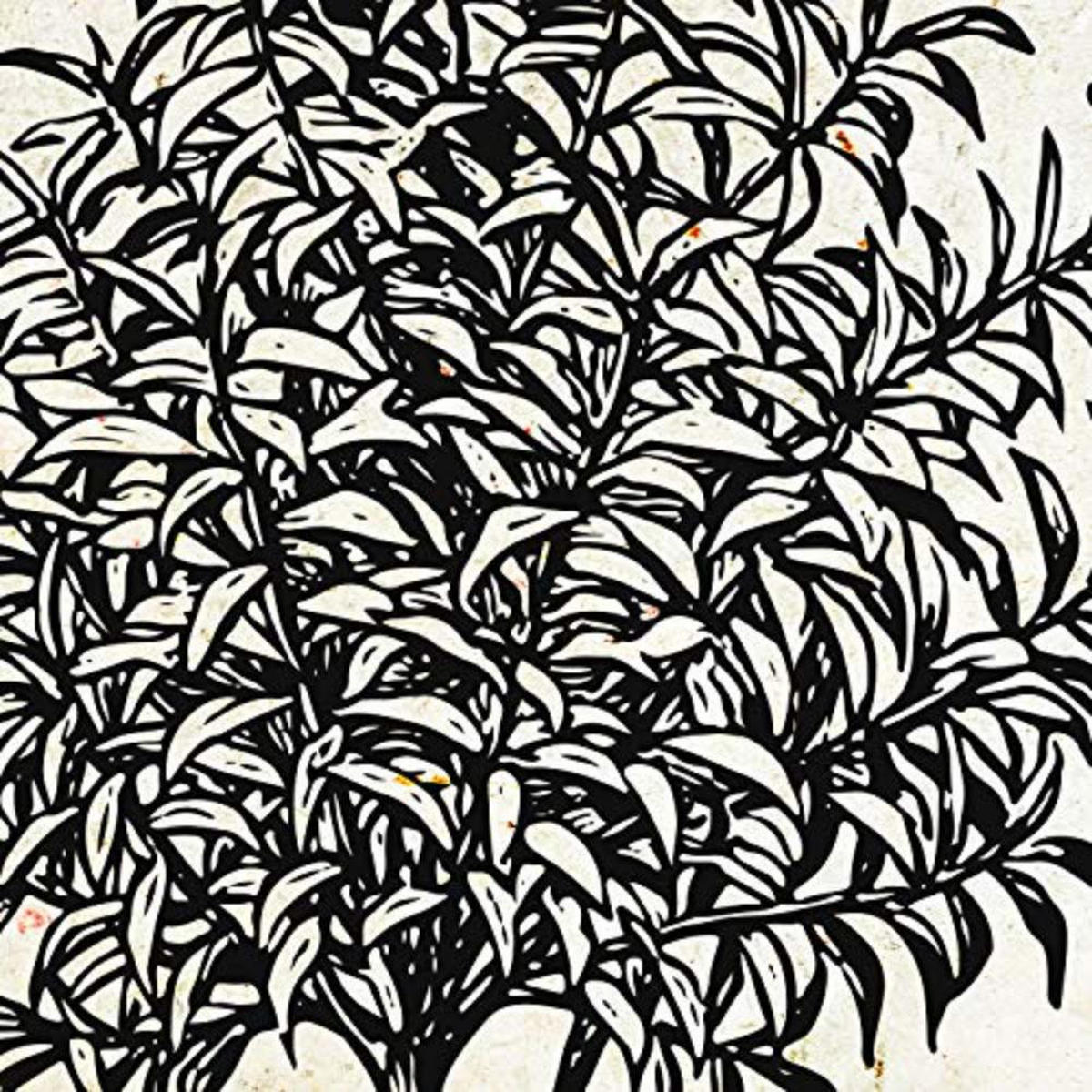 POSTER Set mit 4 Blättern der Bäume Obstbäume Jahrgang Hintergrund 20x20cm Rahmenlos - Klar, Papier (20/3cm) - Nacnic