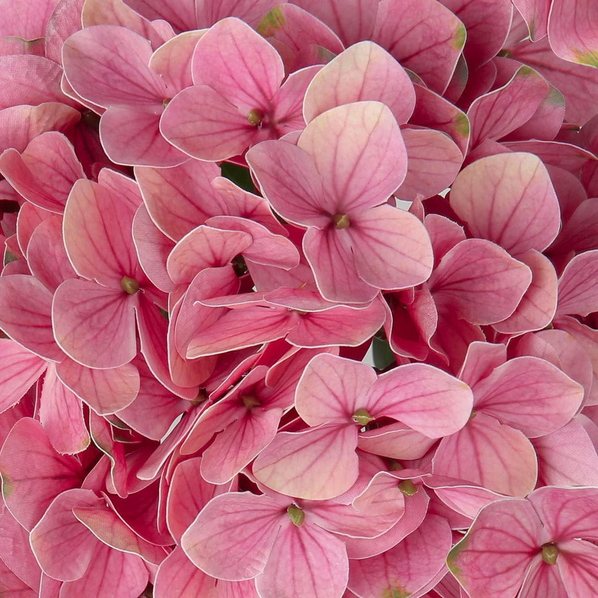 KUNSTHORTENSIE 2 Stück Light Coral 63 cm - Rosa, Kunststoff (10cm)