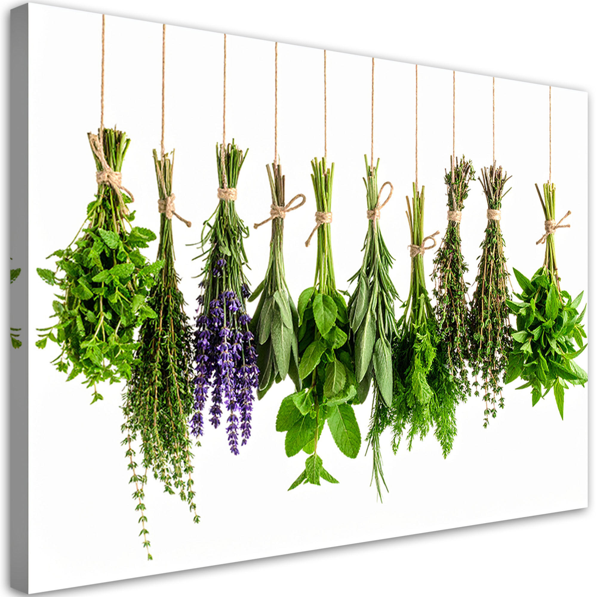 LEINWANDBILD Hängende Kräuter Gewürze Pflanzen 120x80cm - Grün, Textil (120/80cm) - Feeby
