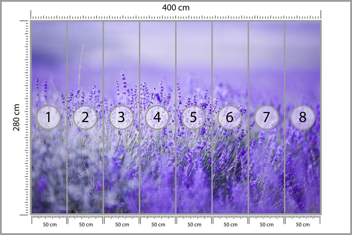 FOTOTAPETE für Küche Lavendelwiese Blüten Fliederfeld 400x280 - Violett/Lila, Papier (400/280cm) - Muralo