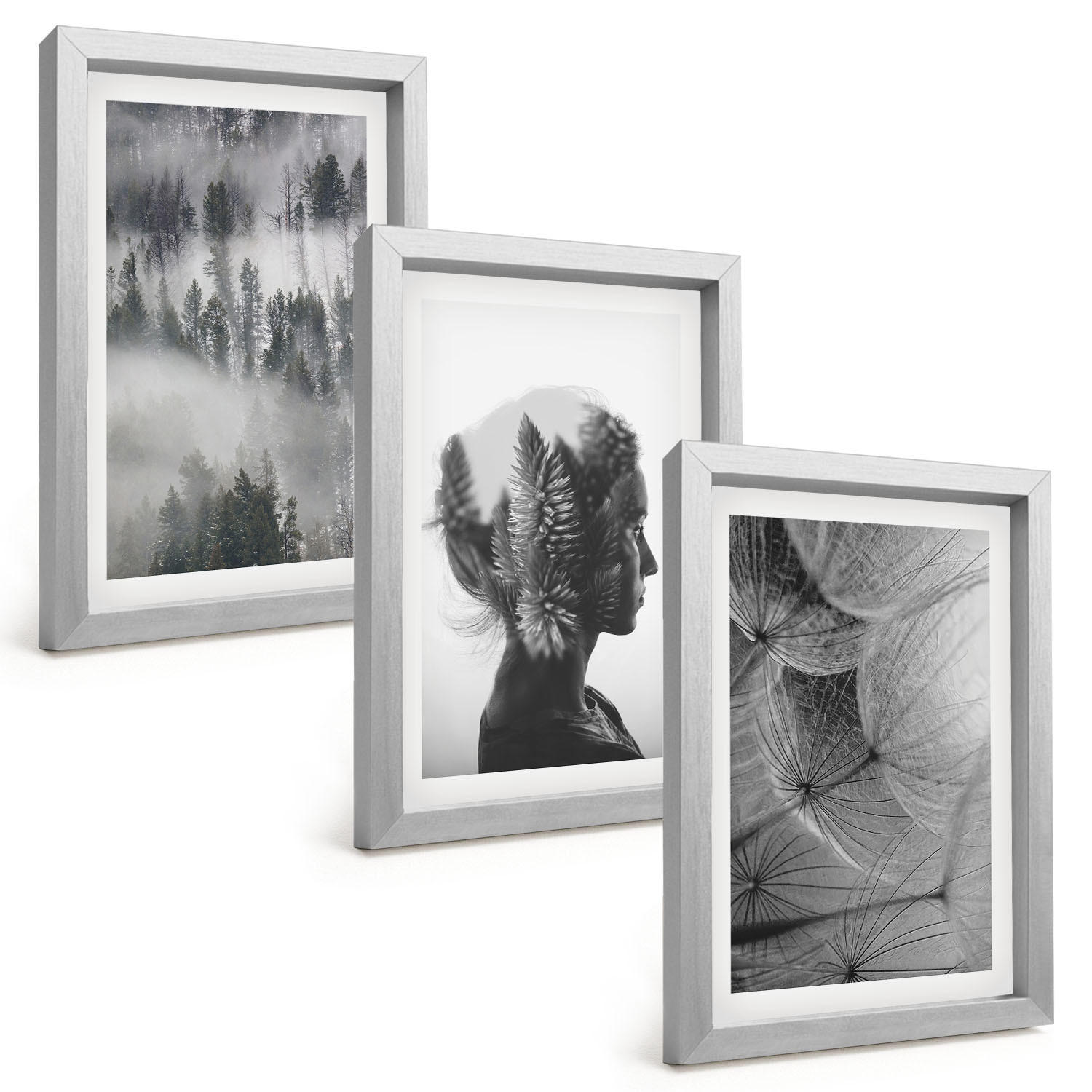 BILDER SET 3er Set - 20x30 cm Silberner Rahmen - Waldnebelporträt Baum Löwenzahn - Silberfarben, Kunststoff (20/30cm) - TULUP