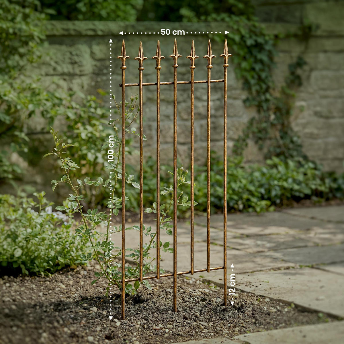 RANKGITTER Metall Bronze - Bronzefarben, Metall (50/100/0.7cm) - CLP