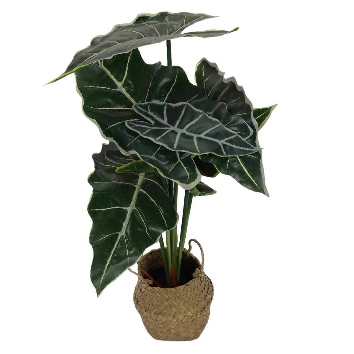 ALOKASIEN Kunstblume im Korb 30/30/51 cm - Grün, Kunststoff (51cm) - Home Styling Collection