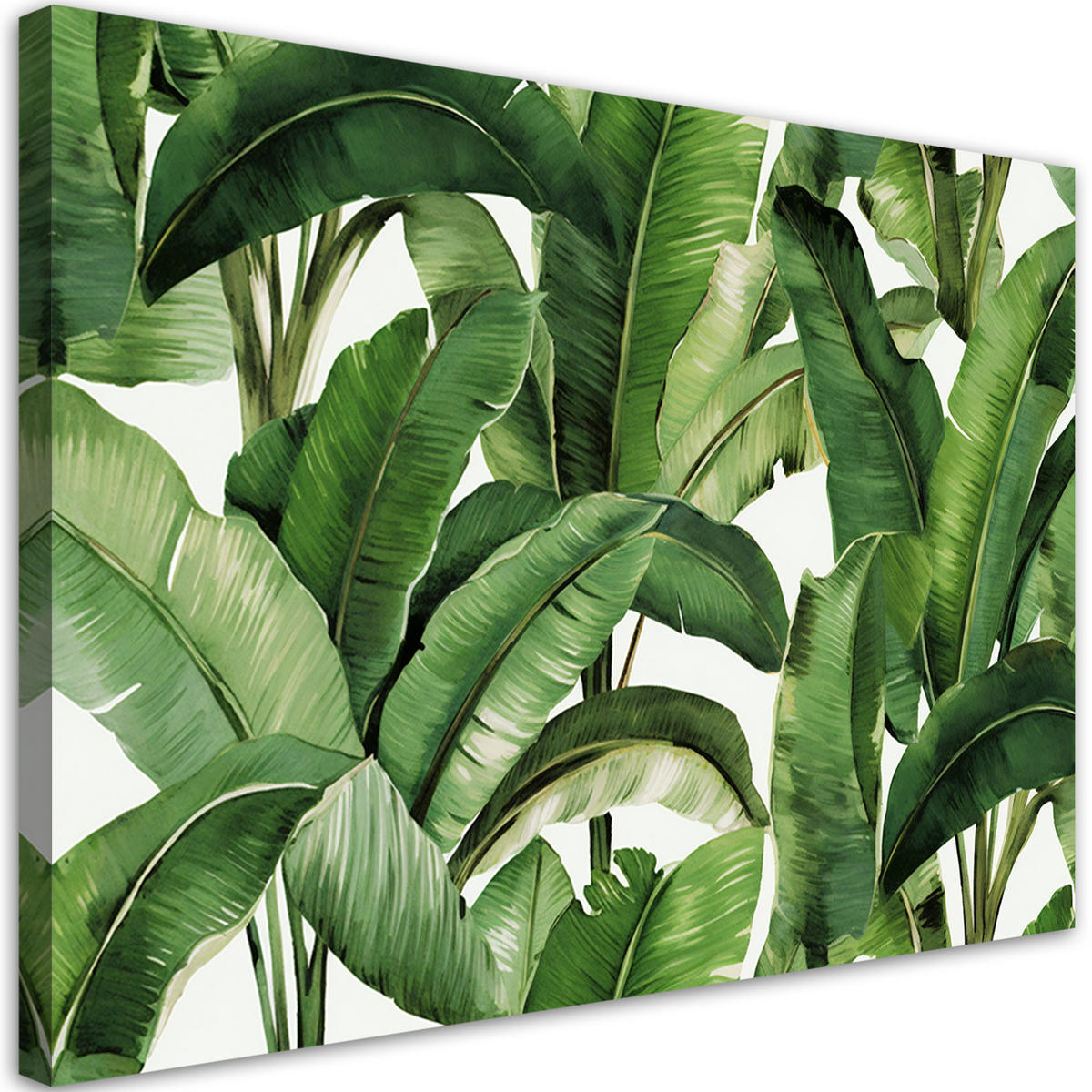 WANDBILD grüne tropische blätter - Grün, Textil (60/40cm) - Feeby