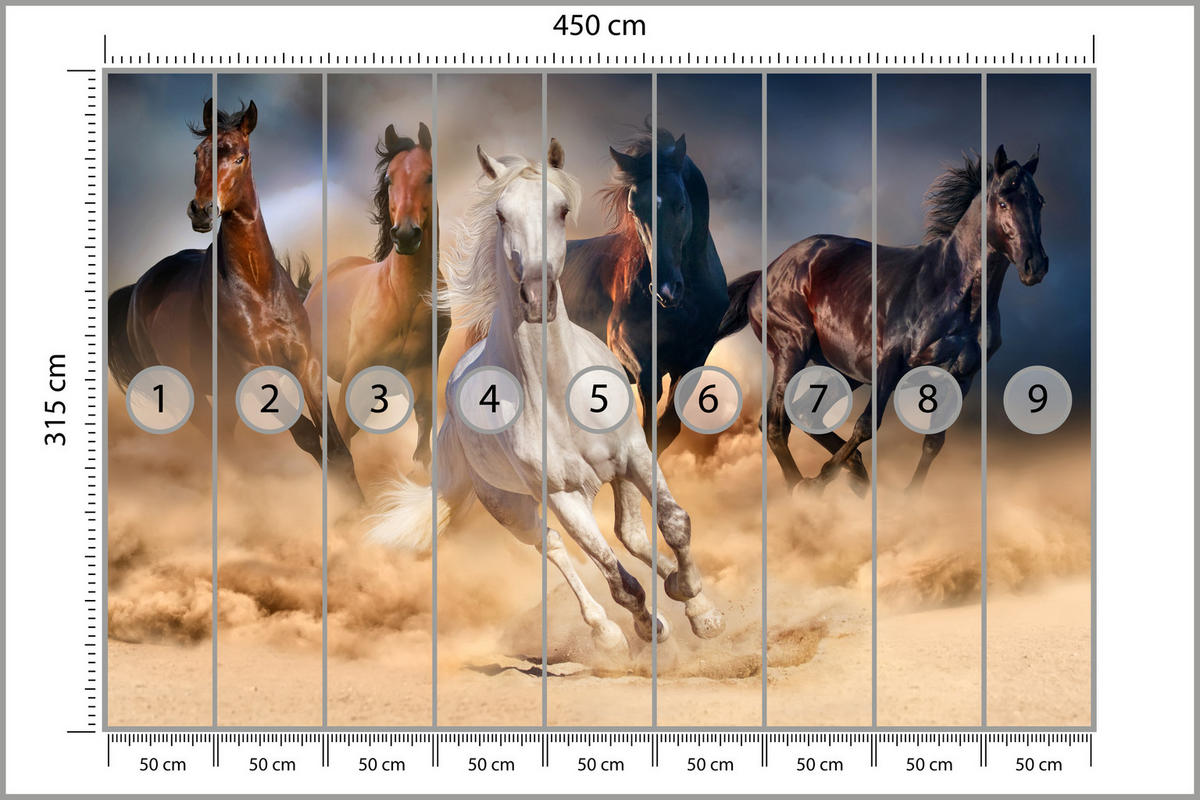 FOTOTAPETE für Schlafzimmer Galoppierende Pferde Wüste Herde 450x315 - Beige/Orange, Papier (450/315cm) - Muralo