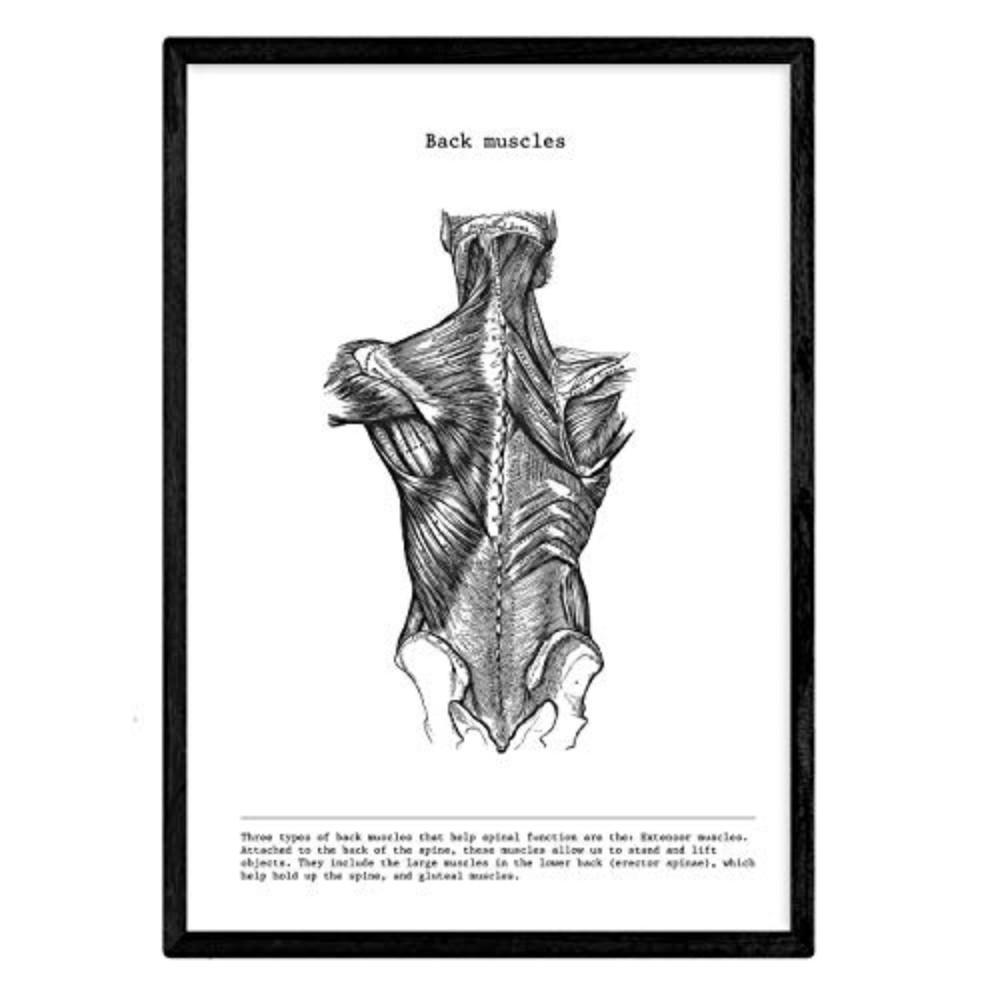 Nacnic Poster Klar 29.7x5x21 cm