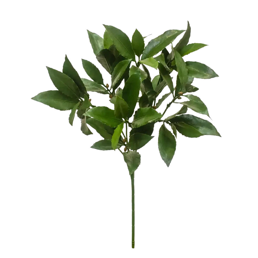 KUNSTPFLANZE Künstliche Lorbeerzweig - Eugen 51 cm - Grün, Kunststoff (51cm) - aplanta