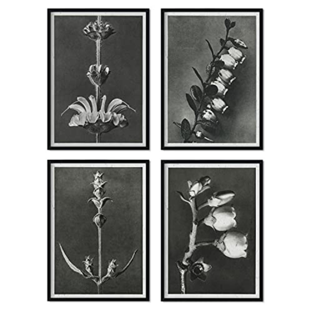 Nacnic Poster Klar 29.7x3 cm