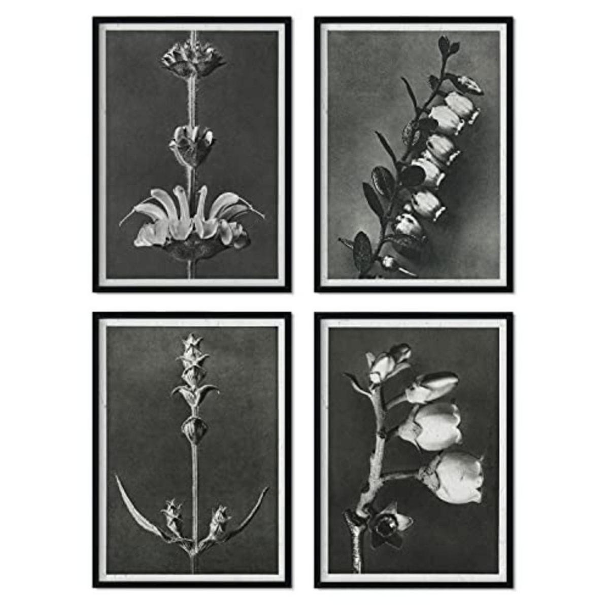 POSTER Set mit 4 langer Blätter Blumen und Pflanzen in Grausteinen A4 Rahmenlos - Klar, Papier (29.7/3cm) - Nacnic