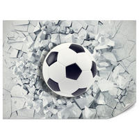 FOTOTAPETE für Kinderzimmer Fußball Riss Graue Wand Dynamik Sport 400x280 - Schwarz/Weiß, Papier (400/280cm) - Muralo