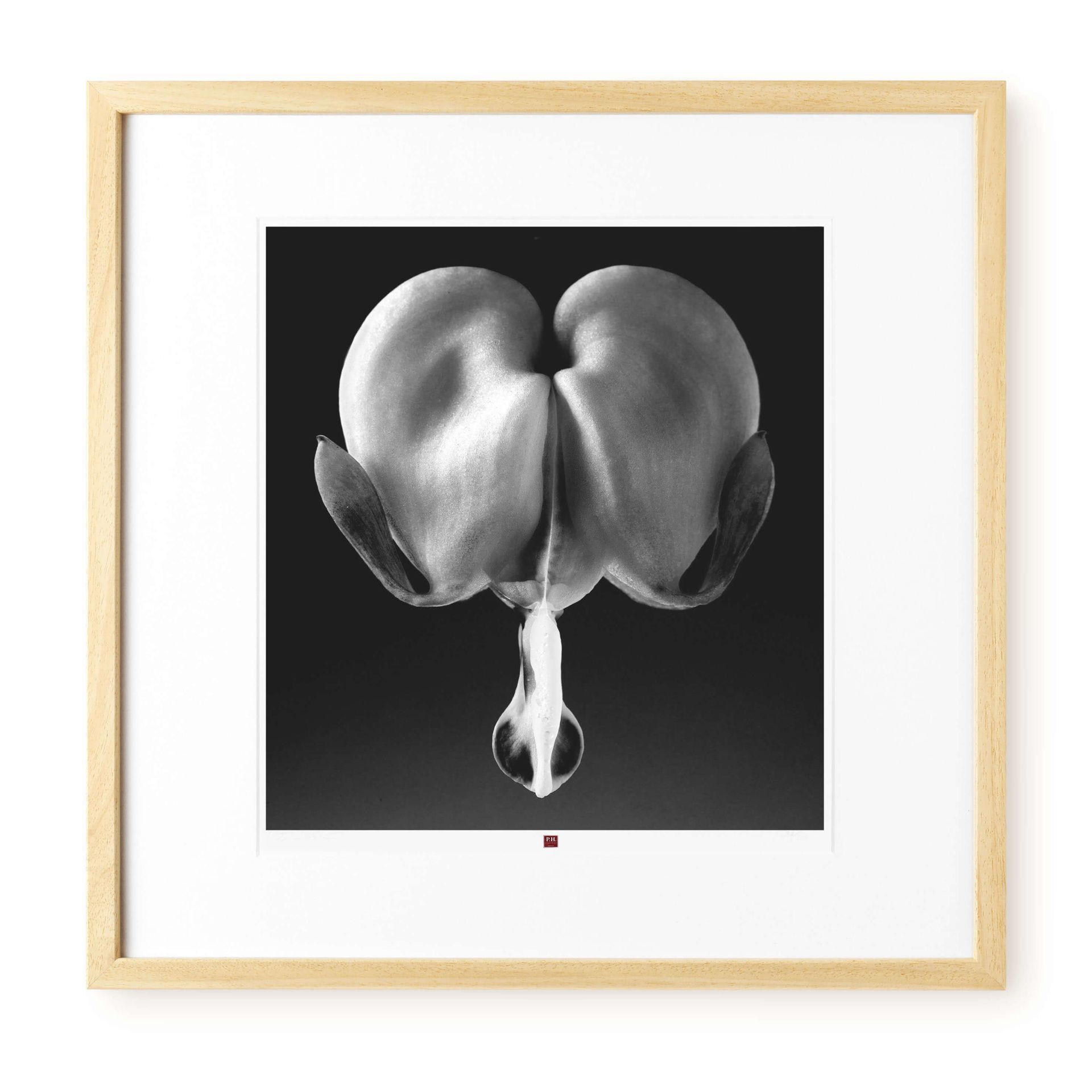KUNSTDRUCK Schwarz-Weiß 50/50 cm - Schwarz, Glas/Papier (2.4/50cm) - KUNSTLOFT