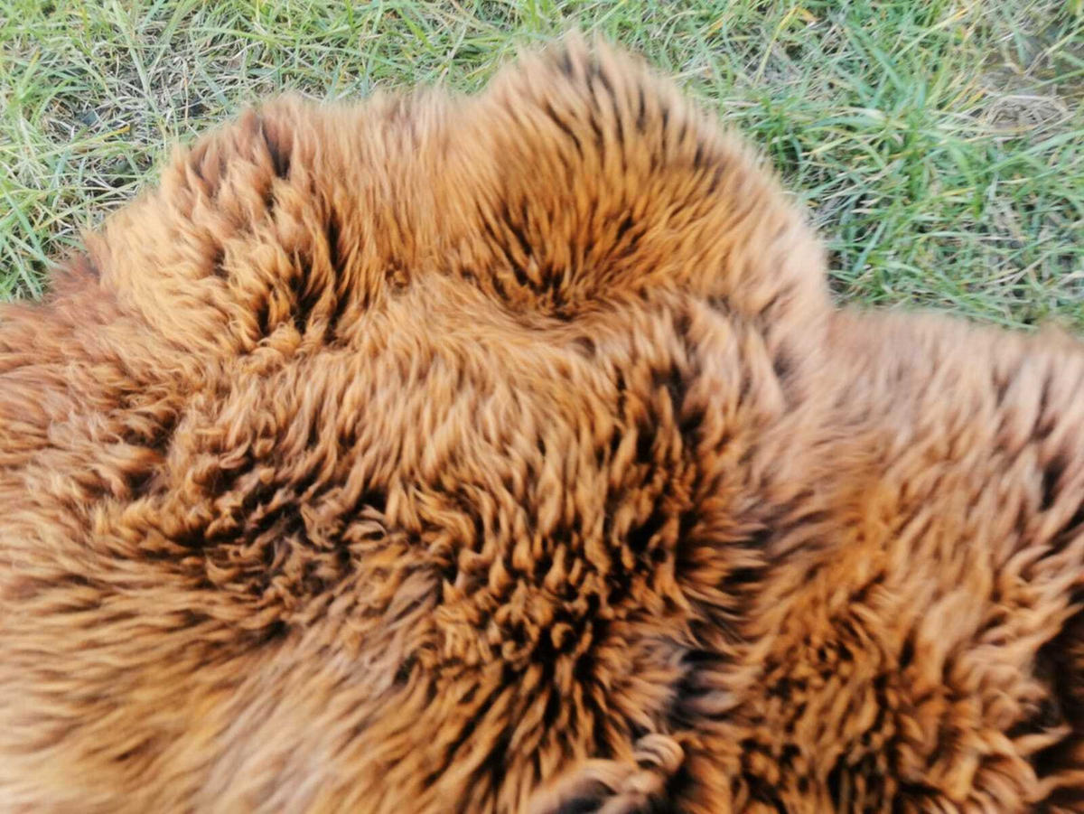 FELL Öko Lammfell Schaffell Gold Braun ca. 115 cm - Goldfarben/Braun, Fell (65/115cm) - Provellus