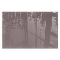 GLASPLATTE für Kamin 60x40 cm - Pink, Glas (60/40/0.4cm) - TULUP