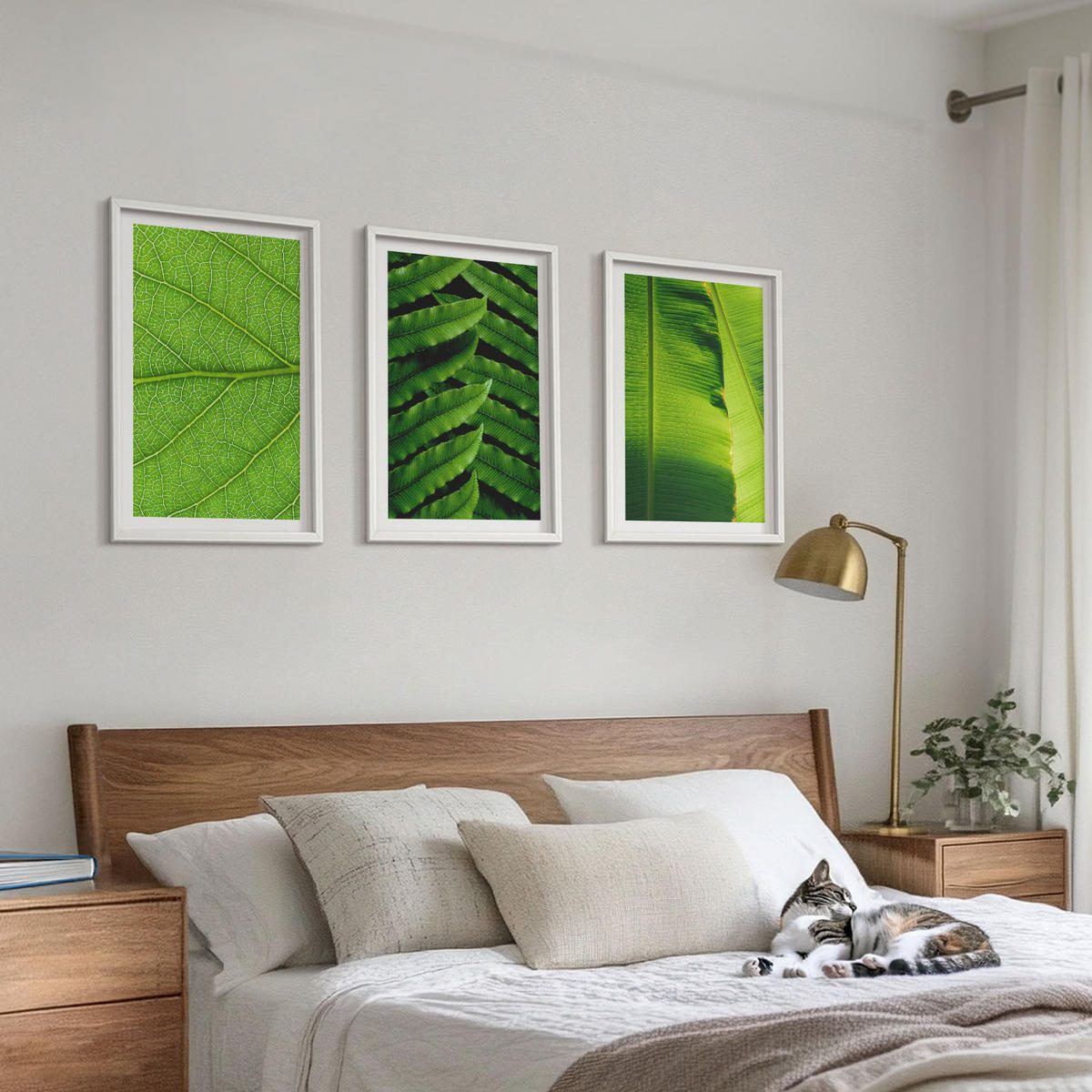 BILDER SET 3er Set - 40x60 cm Weißer Rahmen - Makrofotografie von tropischen Blättern - Weiß, Kunststoff (40/60cm) - TULUP