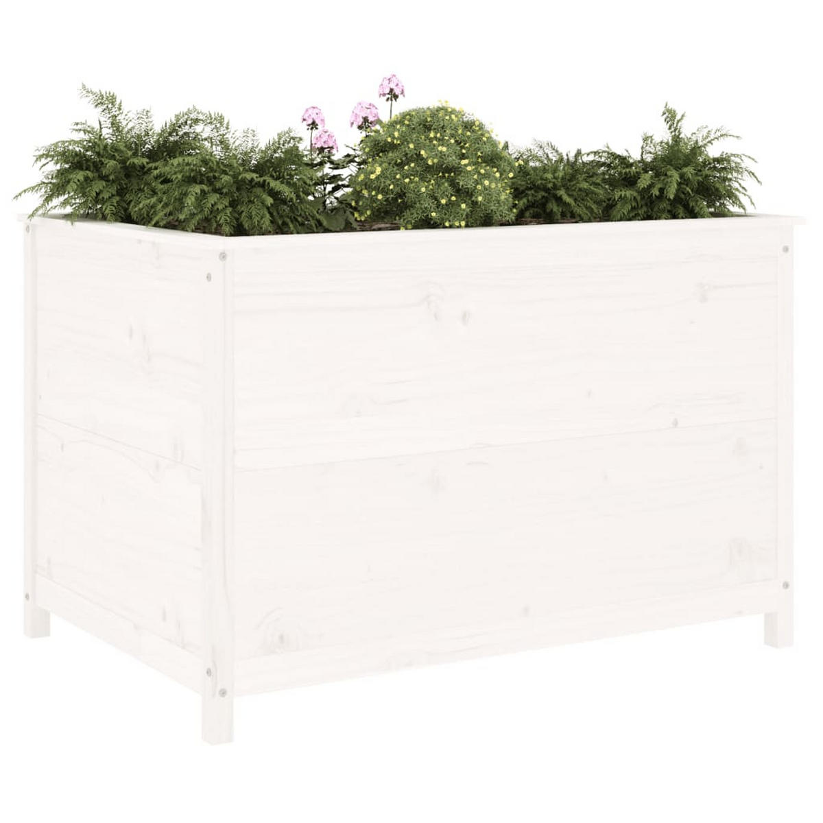HOCHBEET Weiß 119,5x82,5x78 cm Massivholz Kiefer - Weiß, Holz (82.5/78/119.5cm) - furnicato