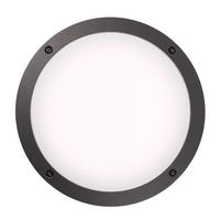 AUSSENLEUCHTE Carlota - Anthrazit, Metall (30/30/9cm) - Paco Home