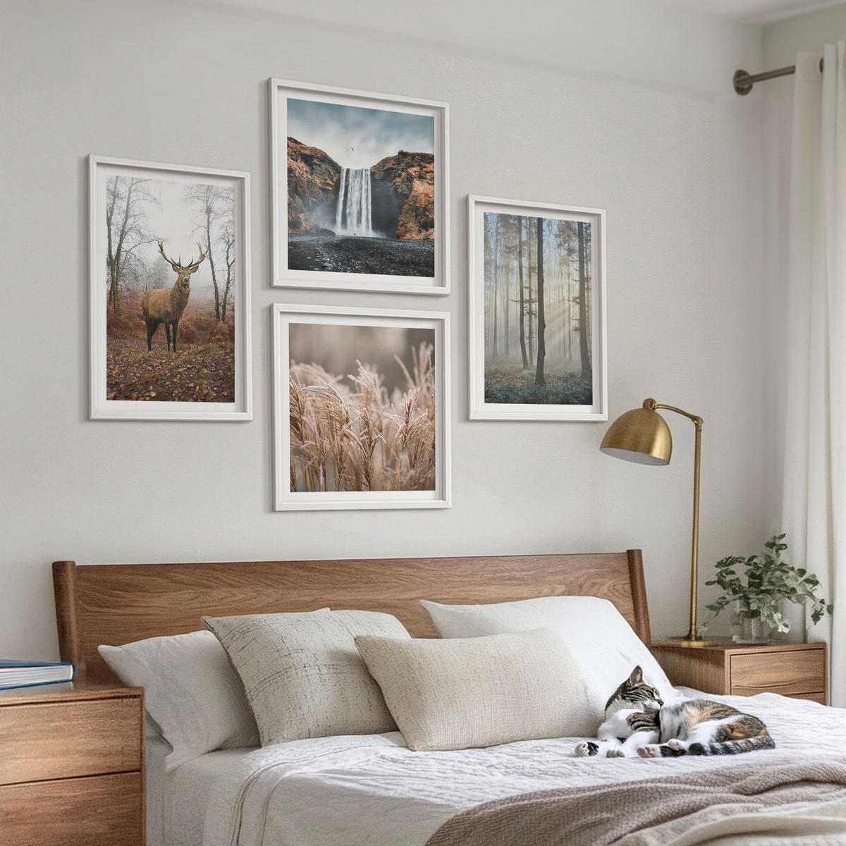 WANDBILDER 4er-Set - 50x50 cm & 40x60 cm Weißer Rahmen - Waldlandschaften der Wildnis - Weiß, Kunststoff (50/50cm) - ArtPrintCave