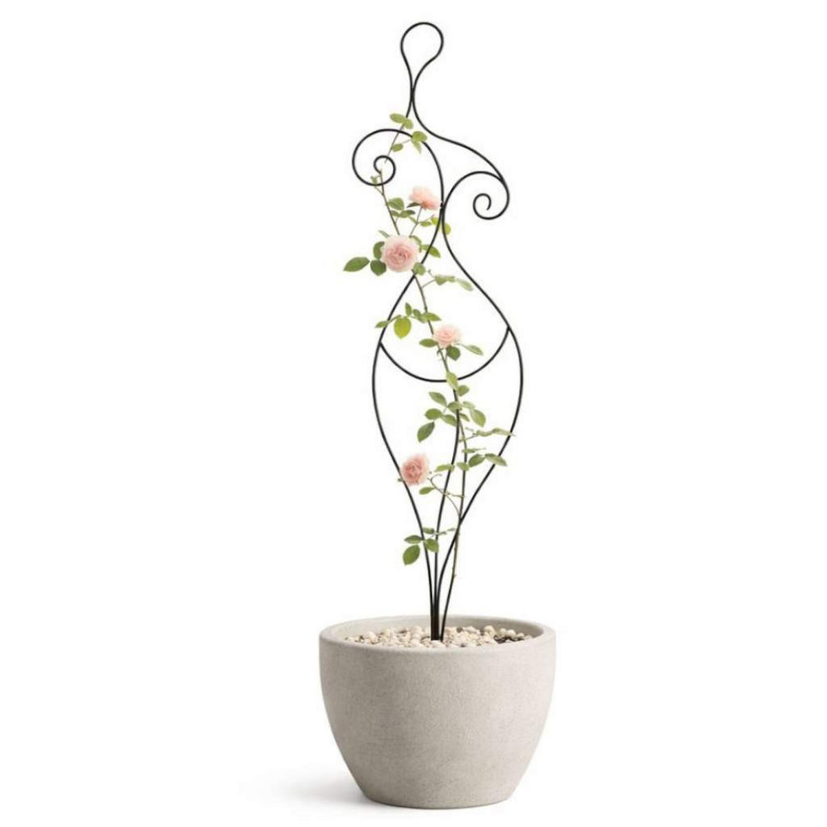 DANDIBO Design Rankhilfe Metall Rankgitter 140 cm Schwarz Frau Lora Kletterhilfe Bodenstecker Blumenhalter Ranksäule - Schwarz, Metall (35/140/1.5cm) - DanDiBo