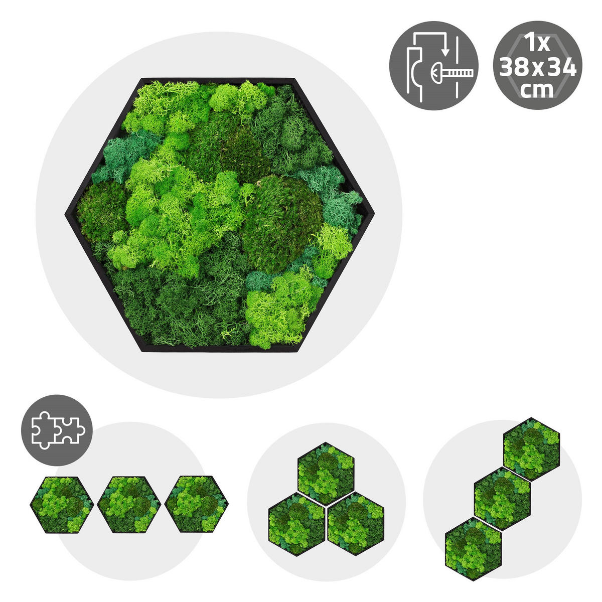 MOOSBILD Hexagon 38x34 cm Mooswand Indoor mit echtem echtem Kugelmoos-Islandmoos-Flachmoos-Mix und Holzrahmen Grün - Waldgrün, Naturmaterialien (38/34/3.4cm) - ECD-Germany