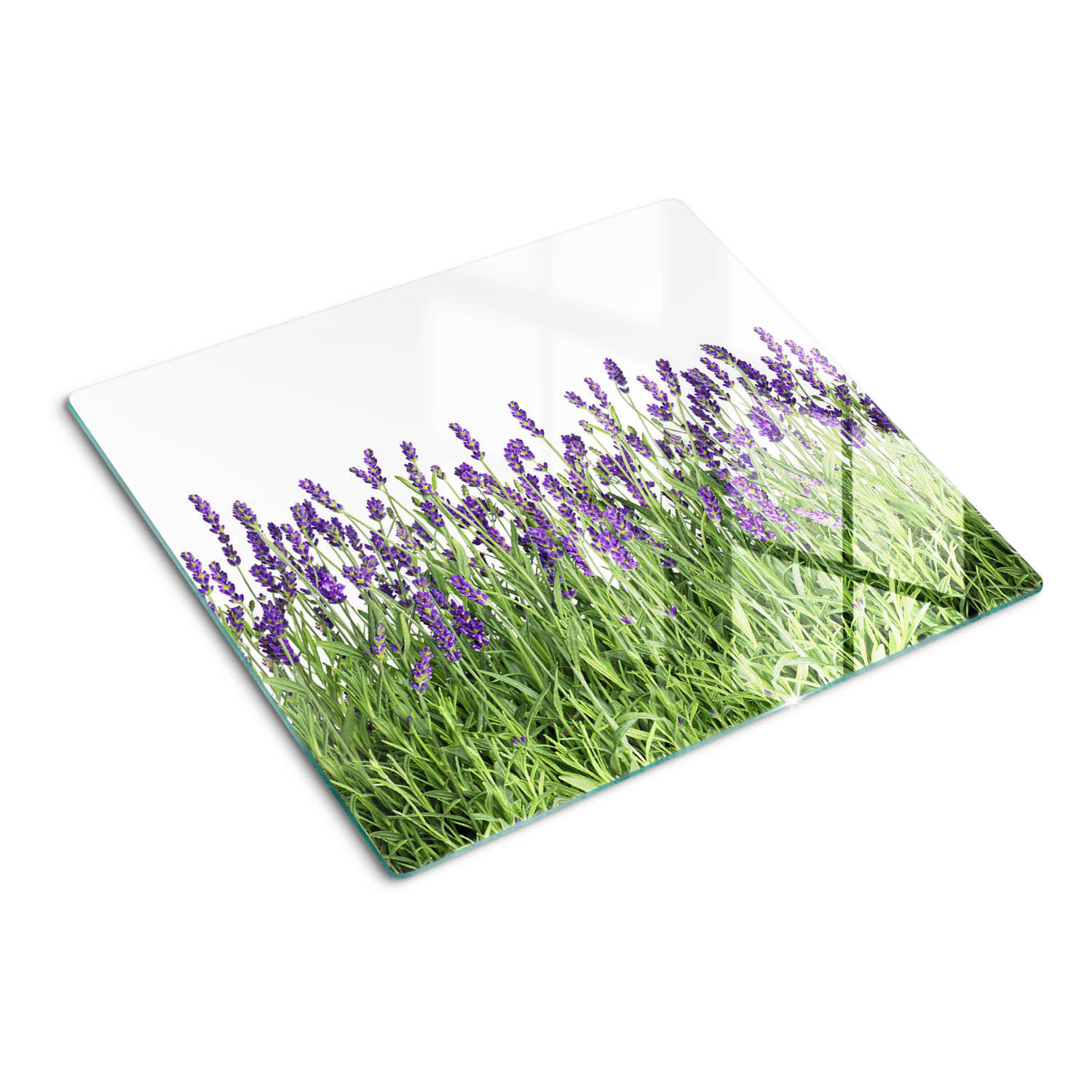 GLASPLATTE 60x52 cm Lavendelblüten - Lila, Glas (60/0.4/52cm) - TULUP