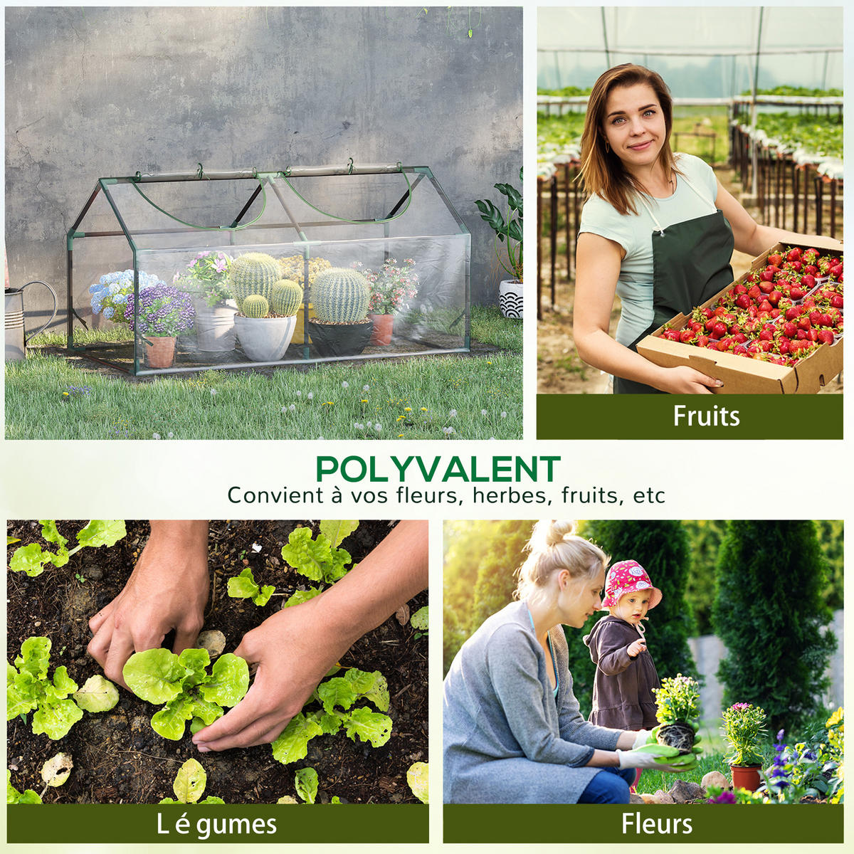 GEWÄCHSHAUS DE-11936 mit 2 Rollfenstern & PVC-Bache Transparent - Transparent, Kunststoff (60/60/120cm) - ComfortXL