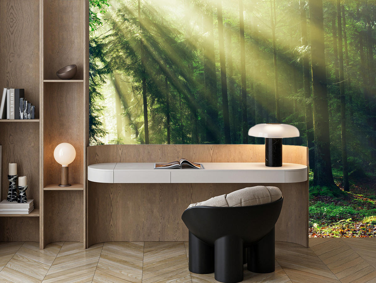 FOTOTAPETE für Schlafzimmer Sonnenaufgang Wald Bäume Moos 250x175 - Gelb/Braun, Papier (250/175cm) - Muralo