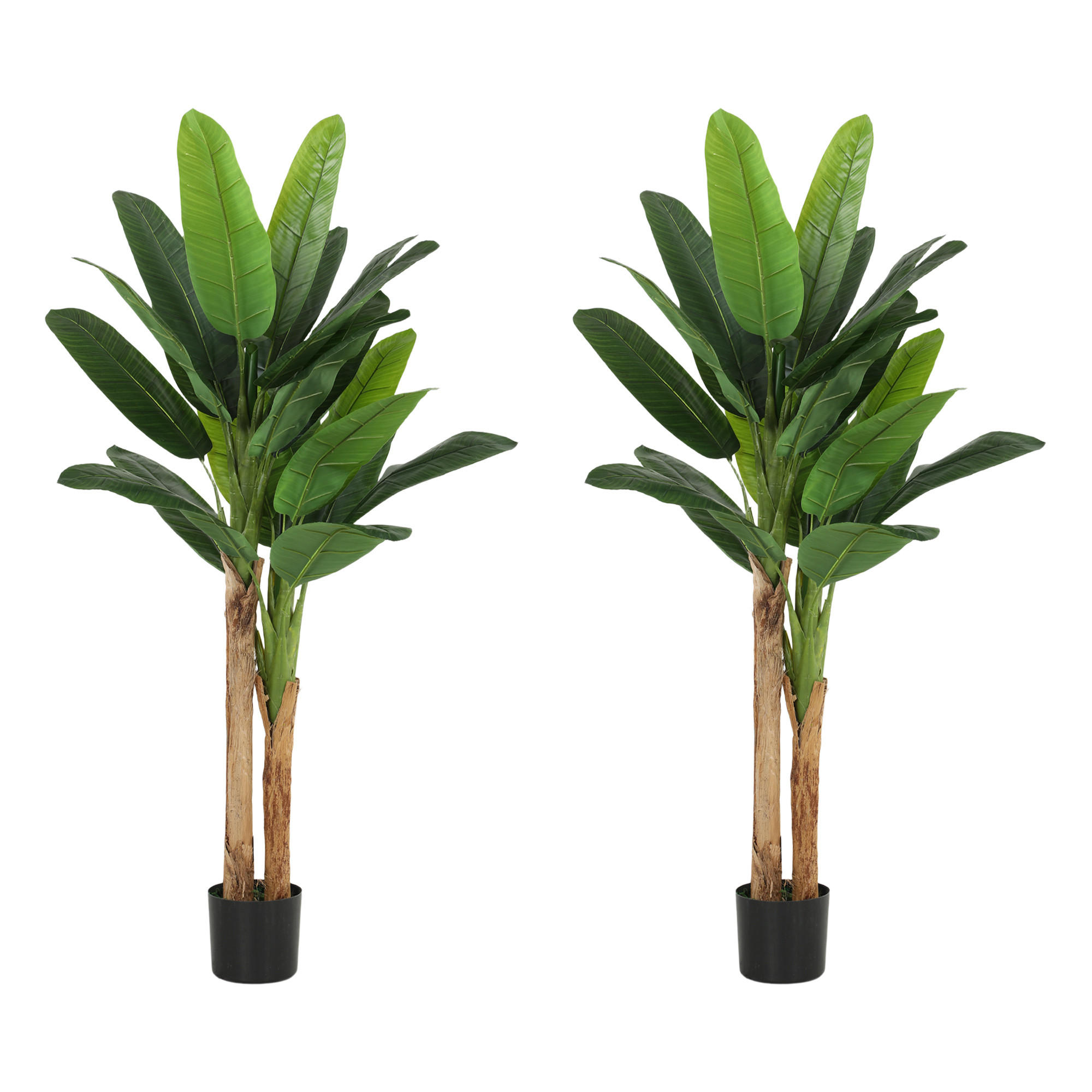 PFLANZENSET Grün Bananenbaum realistisch mit Topf 150 cm (2er-Set) - Grün, Kunststoff (150cm) - PANGIVO