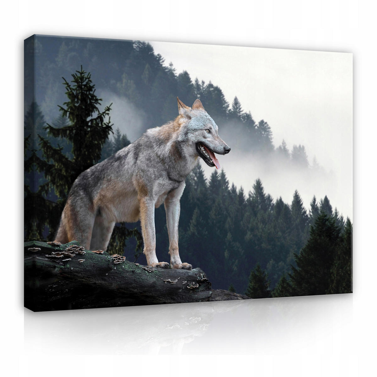 LEINWAND BILDER Wolf Wald Tiere 120x80 - Multicolor, Holzwerkstoff (120/80cm) - Wallarena