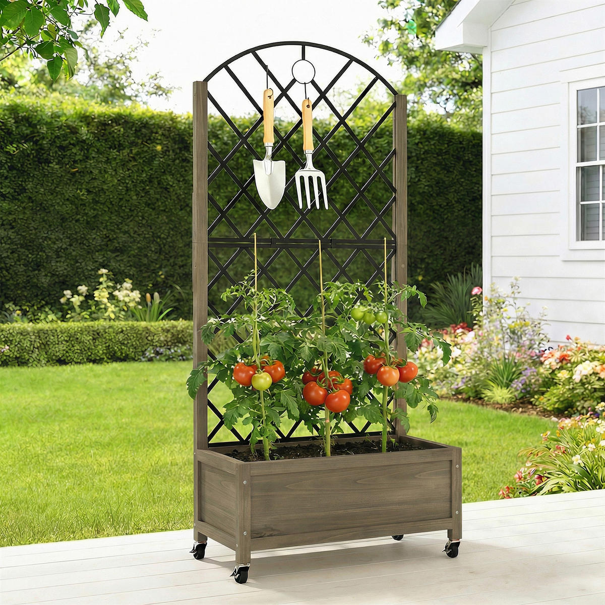 HOCHBEET DE-12293 mit Rankgitter auf Rollen, 72/36/168 cm Carbonisiert - Braun, Holz (72/168/36cm) - ComfortXL