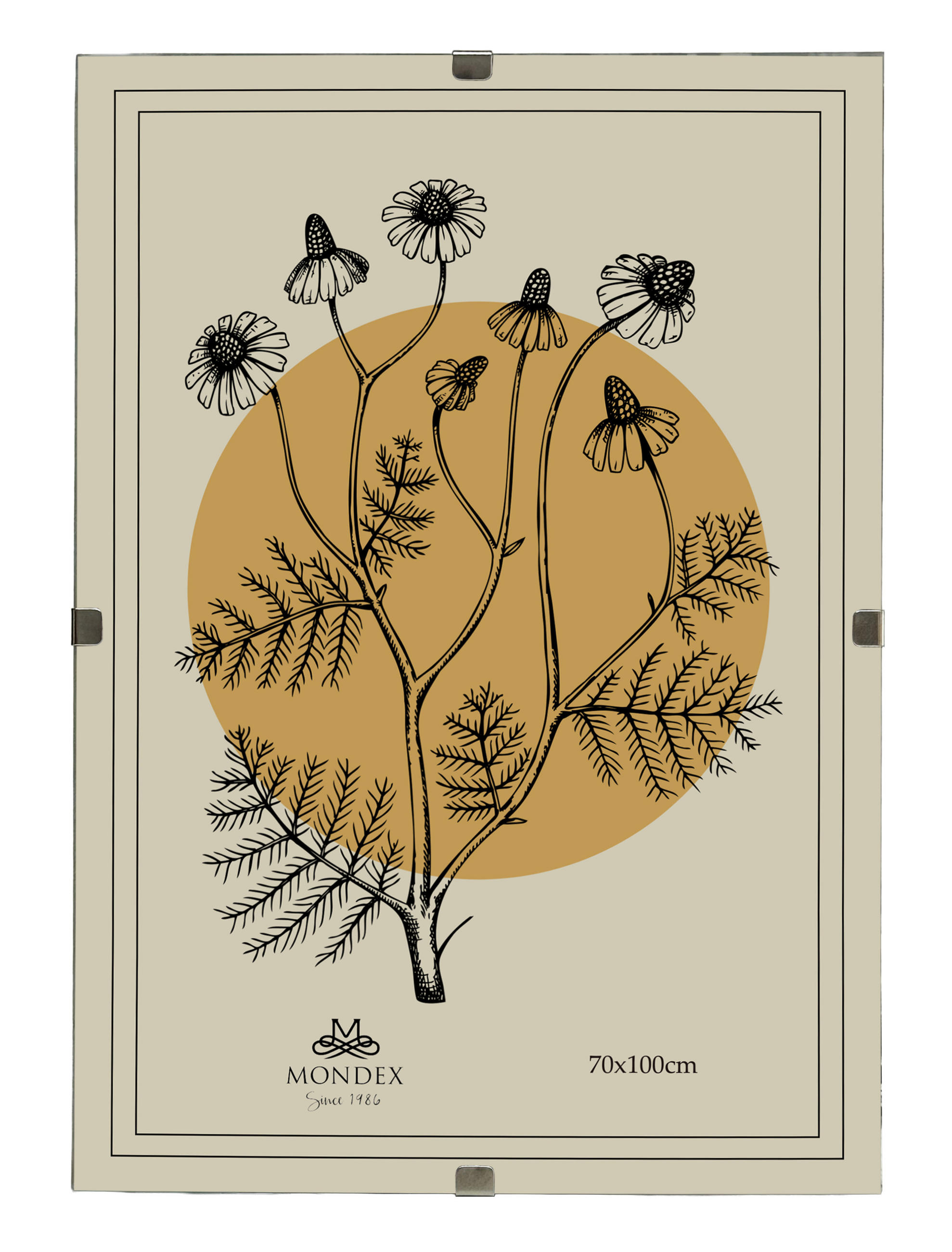 BILDERRAHMEN Adi Transparent 70x100x0.3 cm Kunststoff - Transparent, Kunststoff (0.3/100/70cm) - Mondex