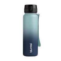 TRINKFLASCHE 0,5L - auslaufsichere - 1-Klick-Verschluss - BPA - freie - Grau-Blau - Blaugrau, Kunststoff (0.5L) - Blumtal