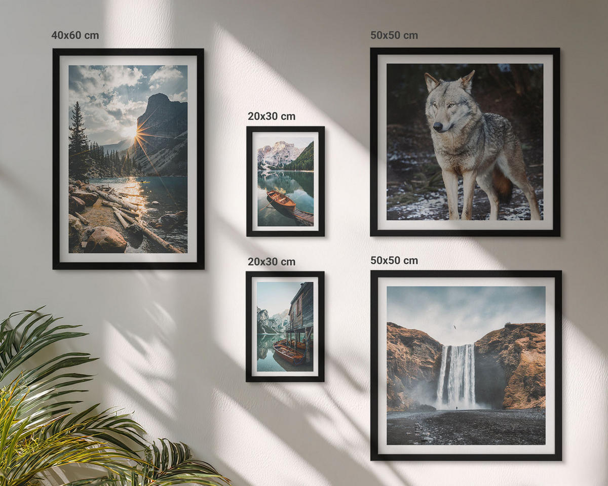WANDBILDER 5er-Set - 50x50 cm & 20x30 cm & 40x60 cm Schwarzer Rahmen - Berge, Seen, Wasserfall, Wolf - Schwarz, Kunststoff (40/60cm) - ArtPrintCave