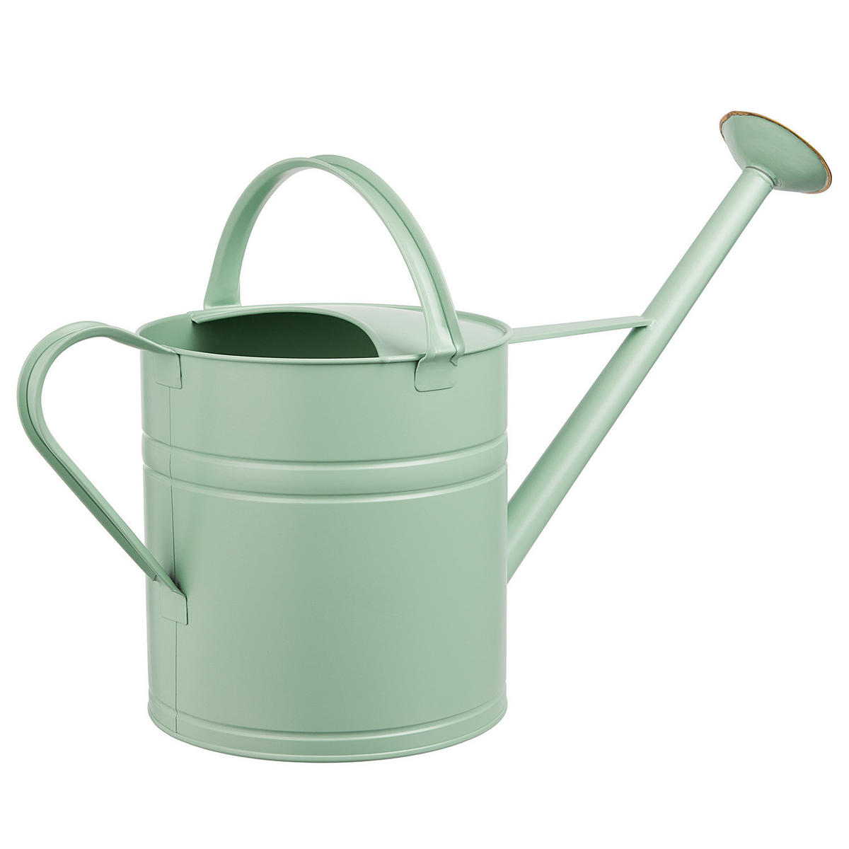 GIESSKANNE Zinc 8L - Grün, Metall (23/35/65cm) - Butlers