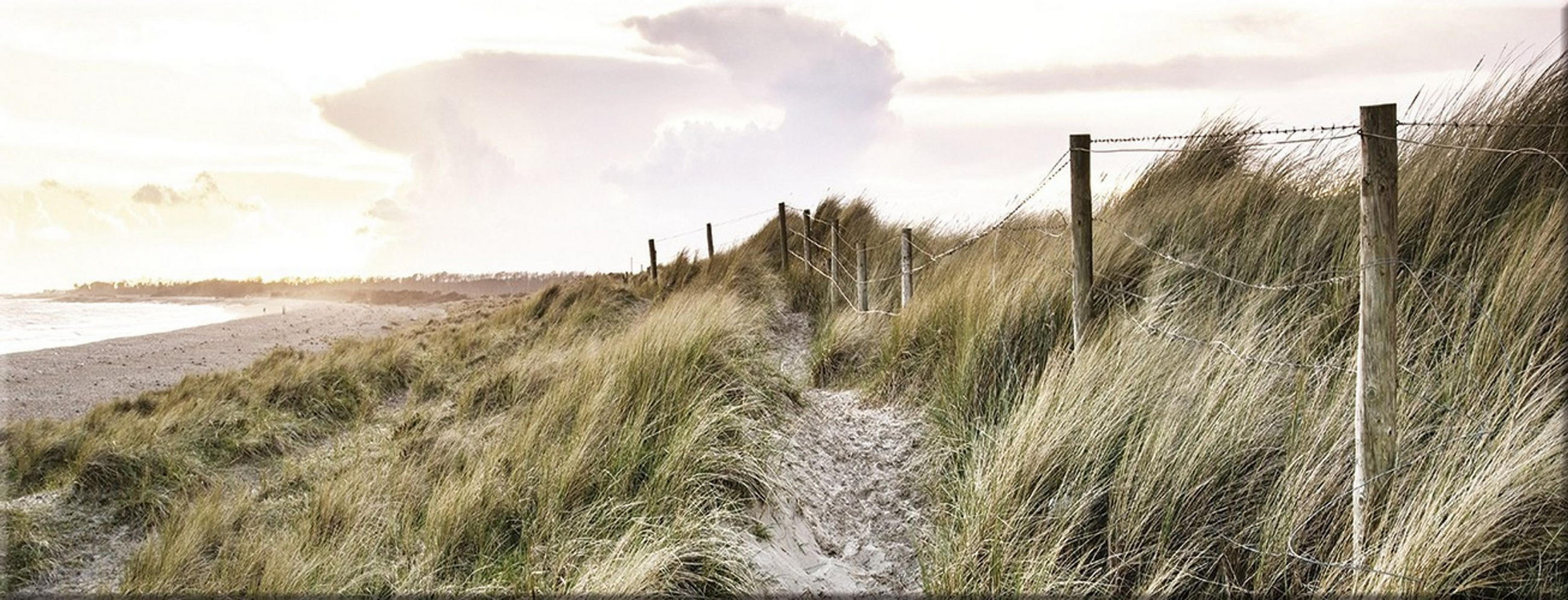 GLASBILD 80x30 cm Strand und Dünen - Beige, Glas (80/30cm) - artissimo