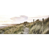 GLASBILD 80x30 cm Strand und Dünen - Beige, Glas (80/30cm) - artissimo