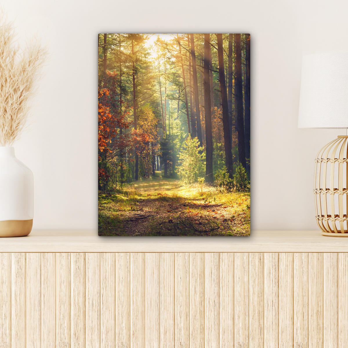 LEINWANDBILD Wald - Herbst - Bäume 30x40 cm - Dunkelgrün, Textil (30/40cm) - MuchoWow