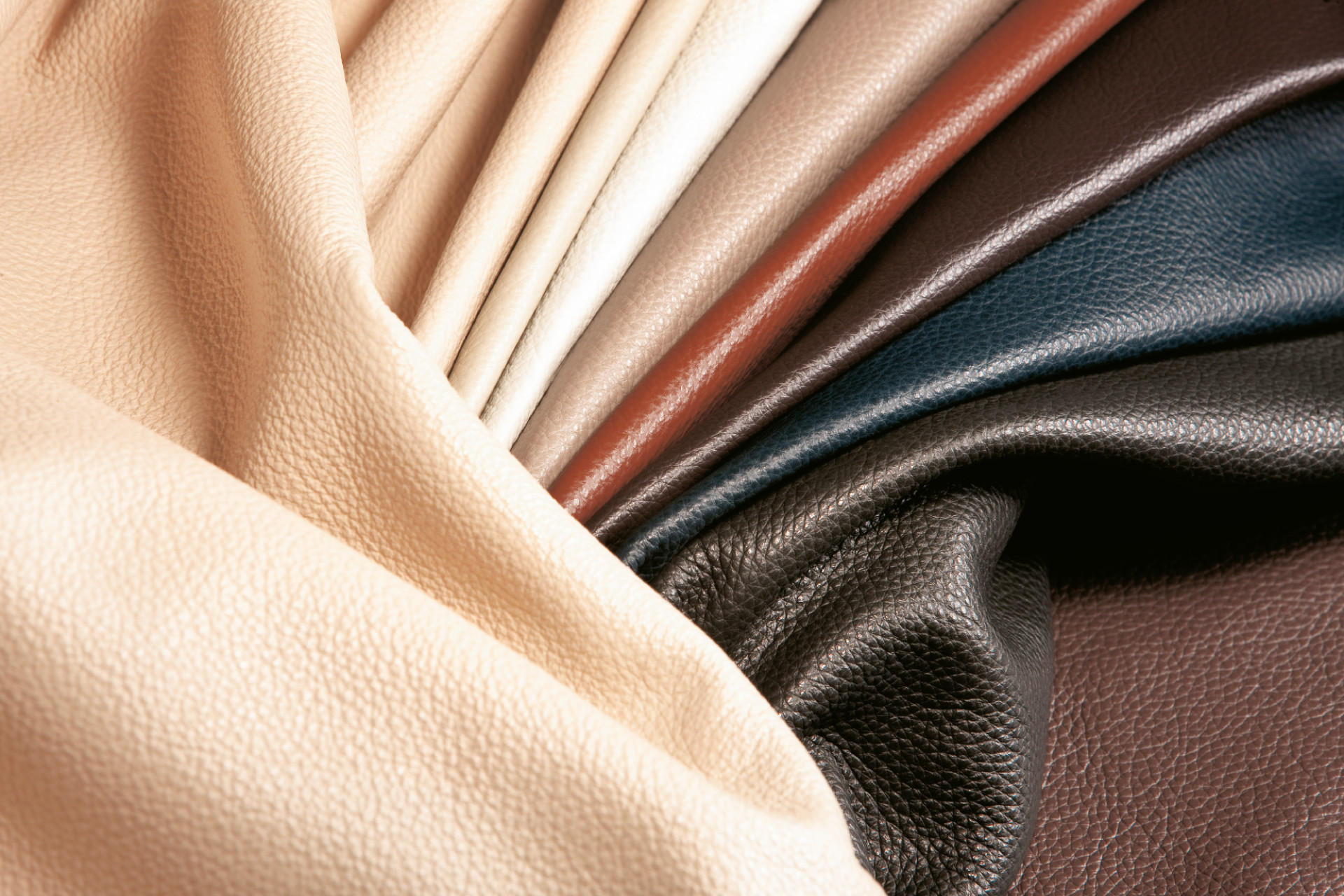 Kuze jako prirodni produkt – druhy, poradenstvi