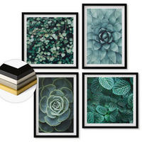 WANDBILDER 4er-Set - 50x50 cm & 40x60 cm Schwarzer Rahmen - Sukkulenten in Grün und Türkis - Schwarz, Kunststoff (50/50cm) - ArtPrintCave