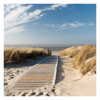 FOTOTAPETE Ostsee Strand 240/240 cm - Eichefarben, Papier (240/240cm) - Bilderwelten