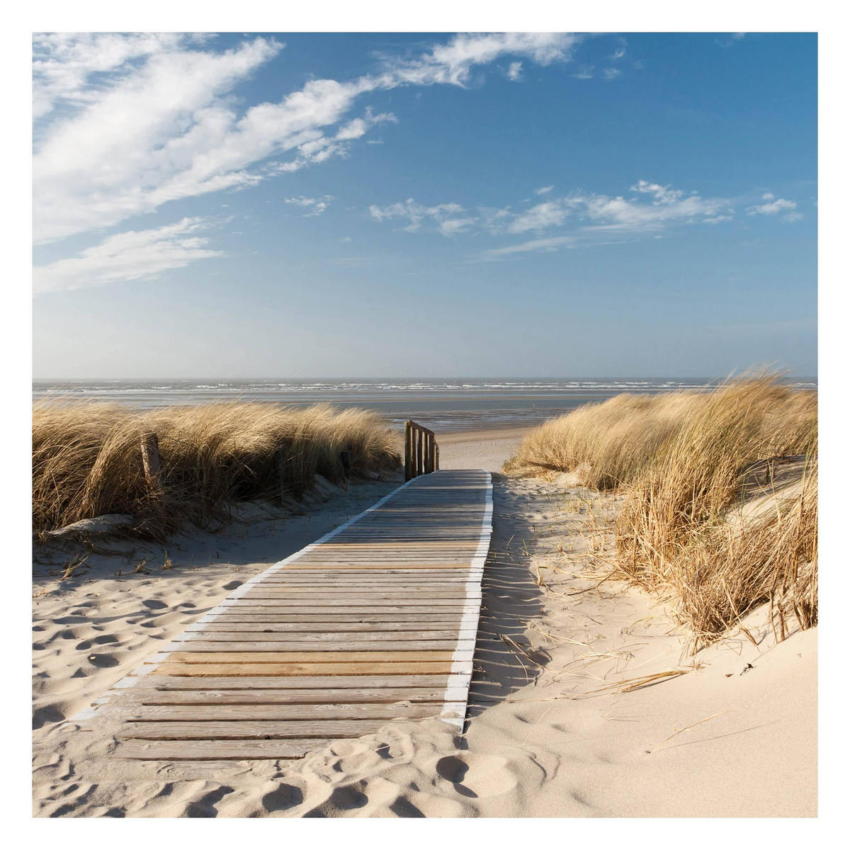 FOTOTAPETE Ostsee Strand 240/240 cm - Eichefarben, Papier (240/240cm) - Bilderwelten