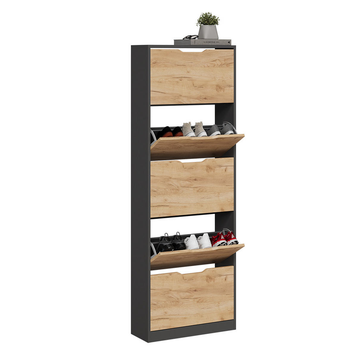 SCHUHKIPPER Luca Anthrazit/Goldkraft Eiche 22 x 169 cm mit 5 Fächern - Honigeiche/Anthrazit, Holzwerkstoff (59/169/22cm) - Vicco