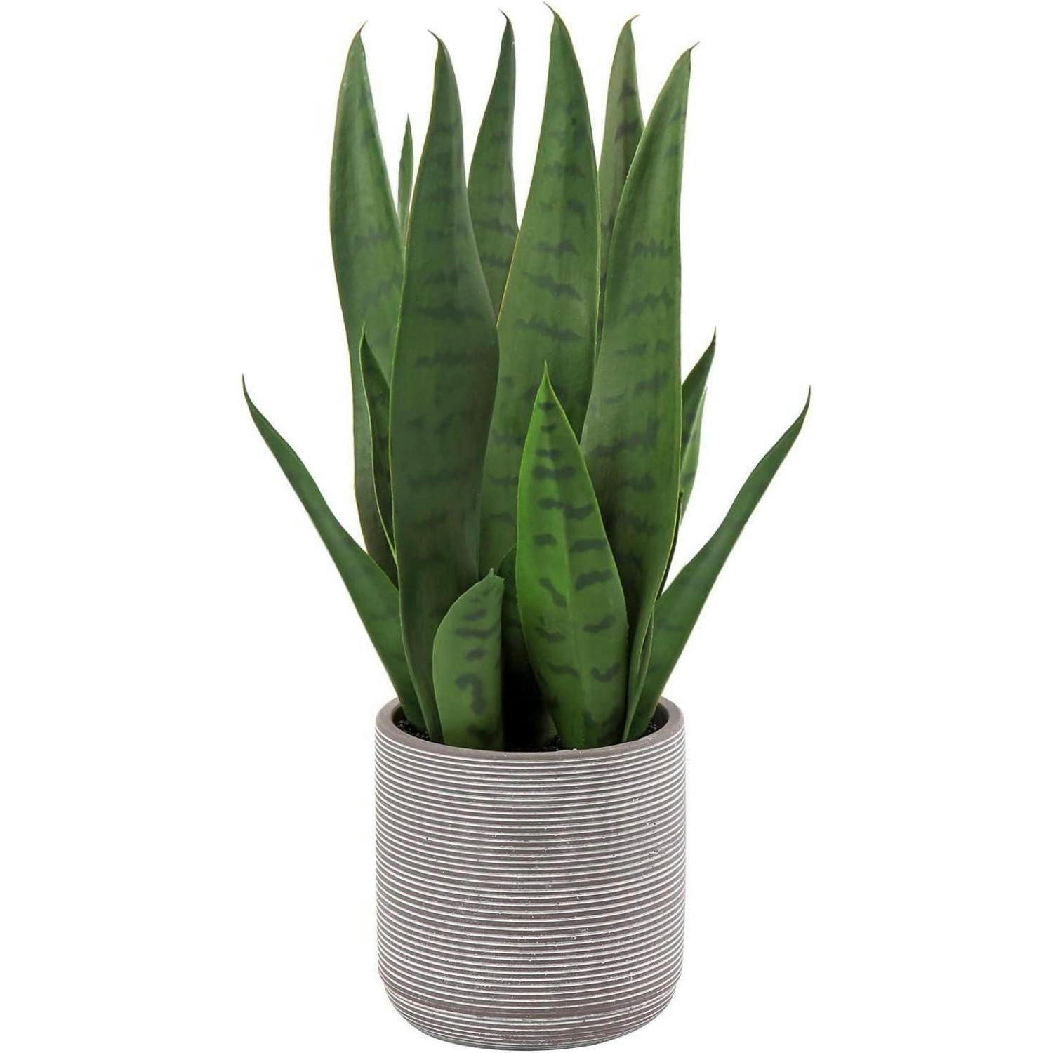 KUNSTPFLANZE Sanseveria 40 cm im Zementtopf Dunkelgrün - Grün, Keramik (40cm)