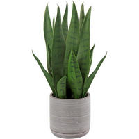 KUNSTPFLANZE Sanseveria 40 cm im Zementtopf Dunkelgrün - Grün, Keramik (40cm)