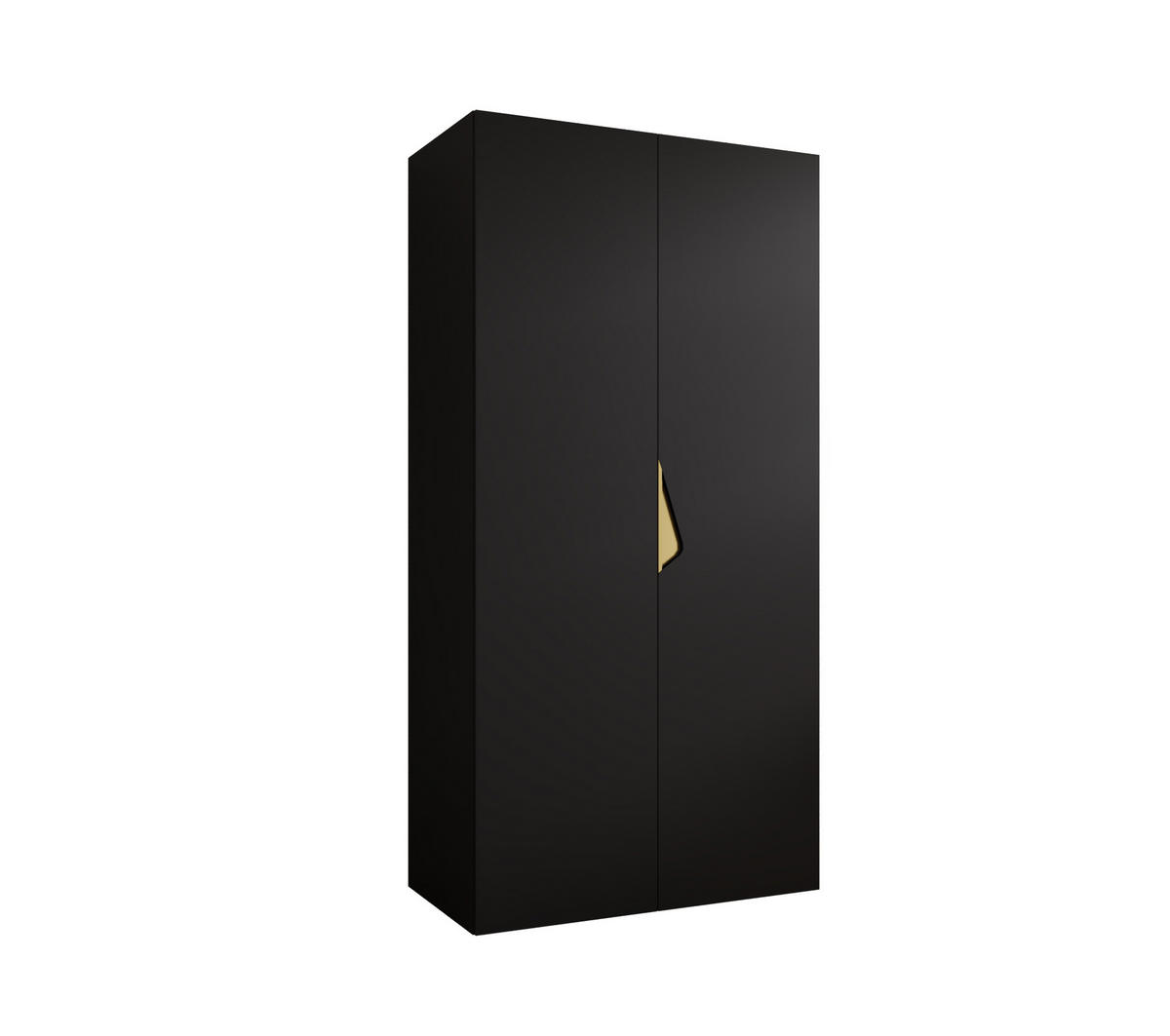 DREHTÜRENSCHRANK 202/100/52 2-türig - Goldfarben/Schwarz, Holz/Metall (100/202/52cm) - Abiks Möbel