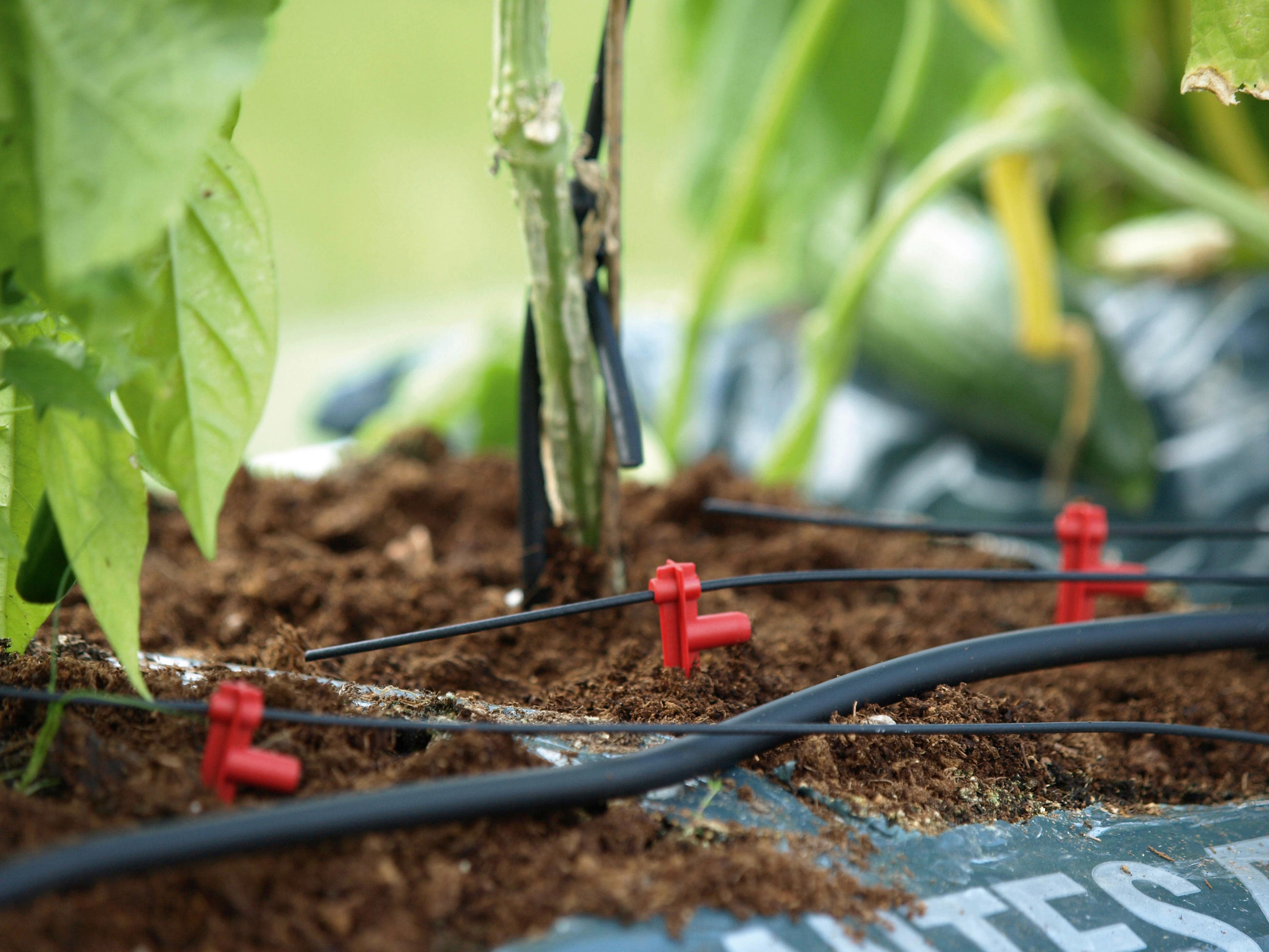 zavlažovanie záhrady