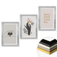 WANDBILDER 3er Set - 20x30 cm Silberner Rahmen - Minimalistische Boho-Illustrationen - Silberfarben, Kunststoff (20/30cm) - ArtPrintCave
