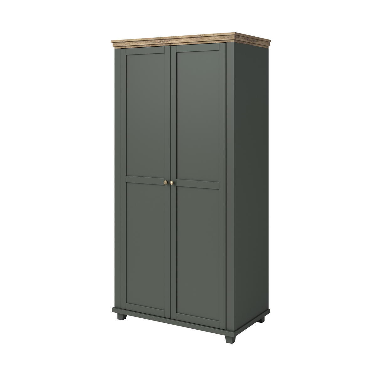 DREHTÜRENSCHRANK EVOLETTA 108/216/62 cm 2-türig Grün - Grün, Holzwerkstoff (108/216/62cm) - MASSENO