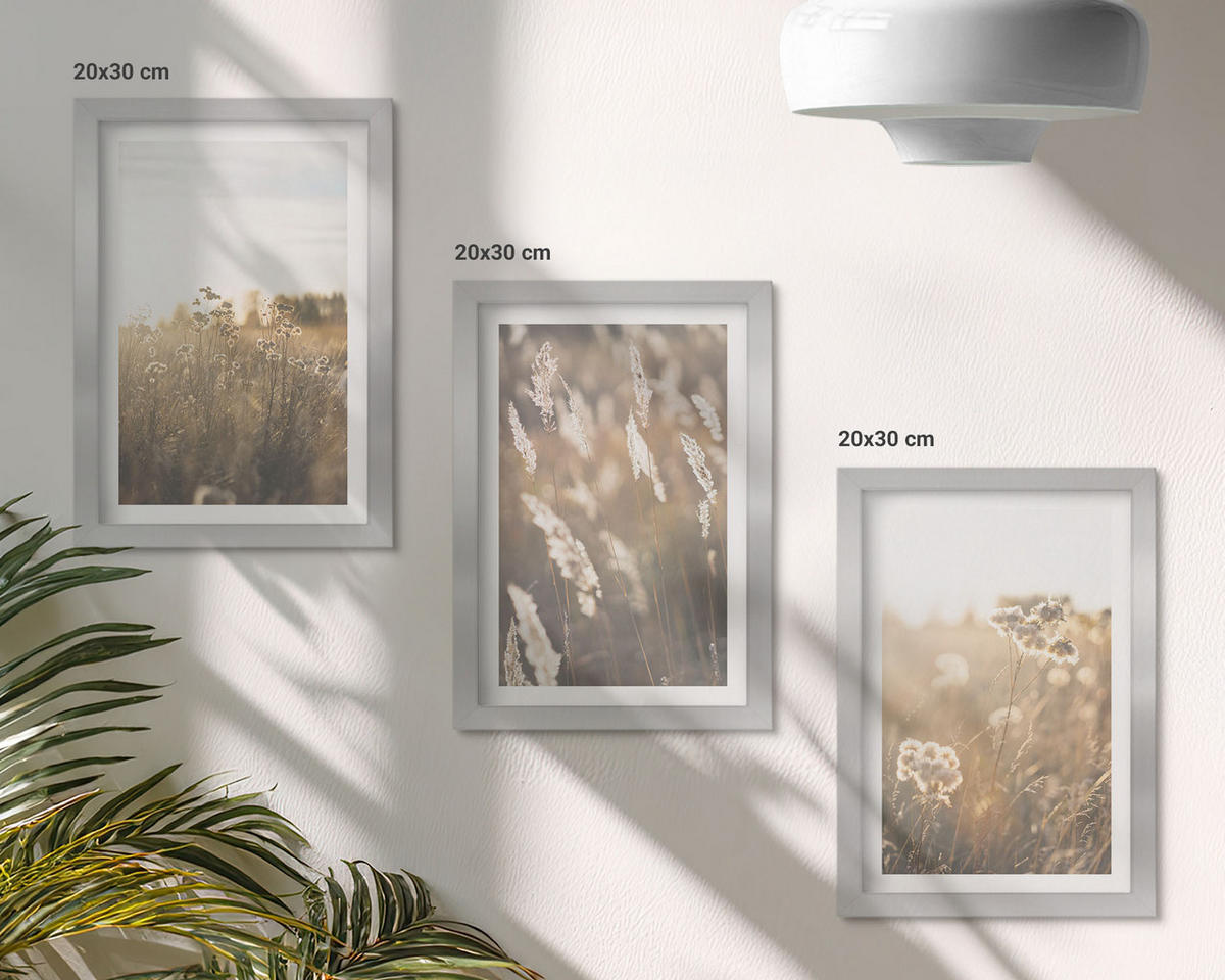 BILDER SET 3er Set - 20x30 cm Silberner Rahmen - Landschaftsgrasblumen Wärme - Silberfarben, Kunststoff (20/30cm) - TULUP